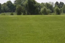 район
