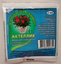 багаторічна
