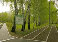 ундори
