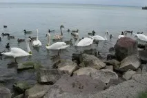 санаторії