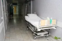 децата децата