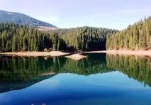 седем красавици Шинг