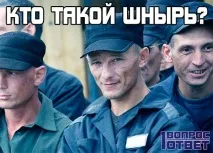 Шнир хто це такий, фото, опис фото