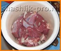 шашлик кебап киви