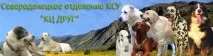 Сєвєродонецьке міське відділення КСУ - КЦ ДРУГ міське