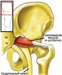 медико-методически ормедиум