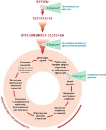 предимства предимства