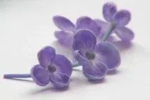 венчелистчета повечето