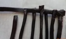 картина ягода