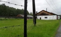 приятелско кучето