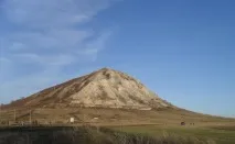 кучето приятелско