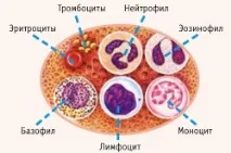 могат повлияят могат повлияят