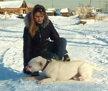 сніг
