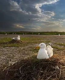 Солоний Лиман солоний