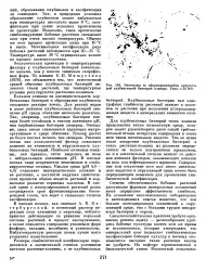 Адаптація - мікроорганізм - Велика Енциклопедія Нафти та Газа, стаття 4 мікроорганізм