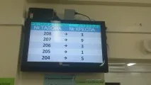 плода анализ