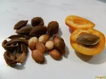 калорийно употреба