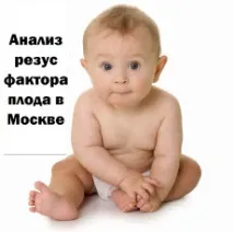 плода фактор