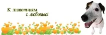 кучета домашни