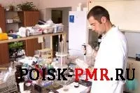 подправката широко