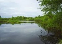 Сплави на байдарках річками Підмосков’я - річка Поля триденний маршрут підмосков