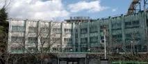 Найстрашніший атракціон Японії у парку Fuji-Q Highland найстрашніший