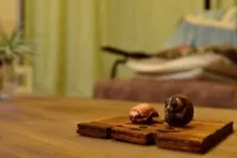 пристигане пристигане