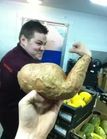 ТЕЛЬЦІ, ви як ніколи близькі до мети тельці