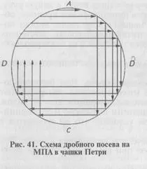 чистих