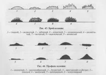 виділення