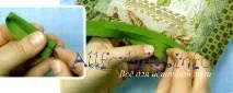 Техніка декупаж на тканині для початківців початківців