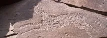 discovery discovery