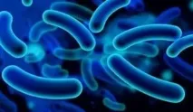 това ureaplasma