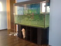 нового
