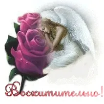 поезія