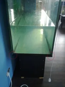 встановлення