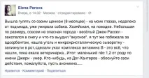 кучета изглеждат