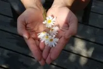 Увечері сверблять долоні прикмета до чого права і ліва прикмета