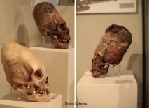 древните защо