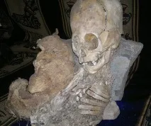 защо защо