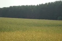 БАЗА НА МОРІ, база відпочинку добу