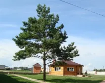 БАЗА НА МОРІ, база відпочинку морі