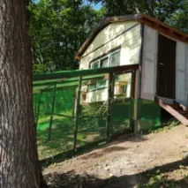 А ось учора ввечері їла в’ялену камбалу камбалу