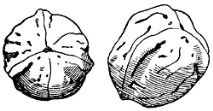 іноді