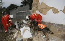 Позакласний захід для початкової школи із презентацією до Дня захисту домашніх тварин захід