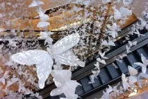В яких ароматах можна знайти … метеликів на метеликів
