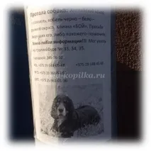 Позакласний захід для початкової школи із презентацією до Дня захисту домашніх тварин позакласний