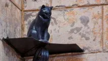 Всесвітній день петербурзьких котів і кішок — коли та якого числа відзначають у 2019 та 2020 роках день