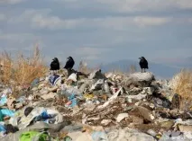 приморски остане