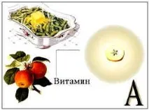 които приемали които приемали